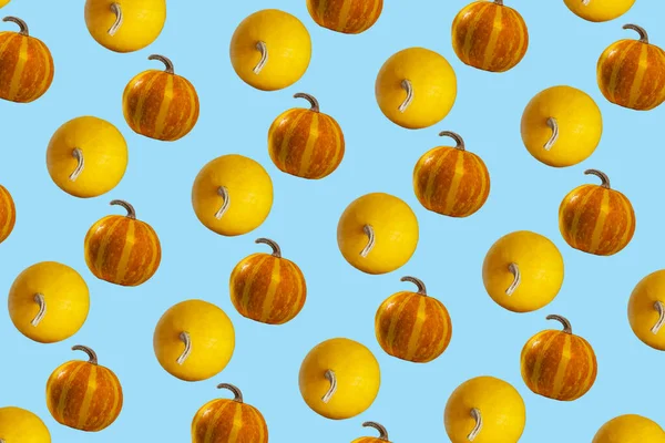 Orange Und Gelbe Kürbisse Nahtloses Muster Auf Blauem Hintergrund Draufsicht — Stockfoto