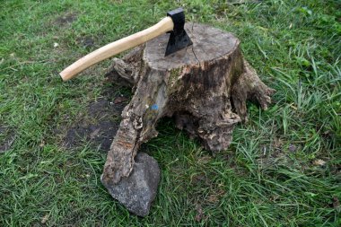 Balta, doğanın arka planında kuru bir ağaç kütüğüne sıkışmış.