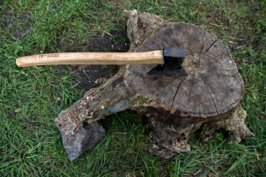 Balta, doğanın arka planında kuru bir ağaç kütüğüne sıkışmış.