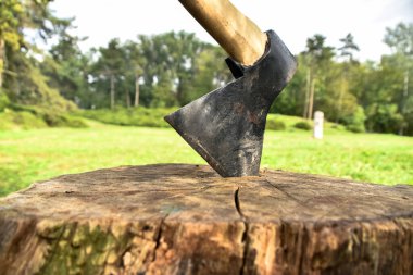 Balta, doğanın arka planında kuru bir ağaç kütüğüne sıkışmış.