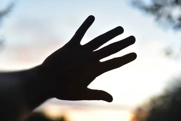 Silhouette Unclenched Palm Blue Sky Gesture Shows Number Five — Stock Photo, Image