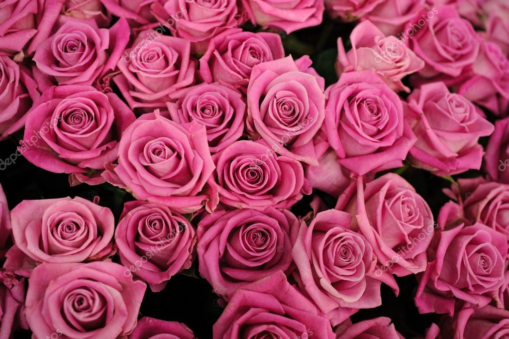     РОЗА РОЗОВАЯ  Depositphotos_104091122-stock-photo-background-image-of-pink-roses