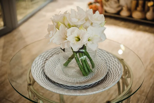 Amaryllis สีขาว ดอกไม้ในแจกัน — ภาพถ่ายสต็อก
