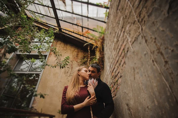 Cuplu tânăr în seră care nu se uită în cameră — Fotografie, imagine de stoc