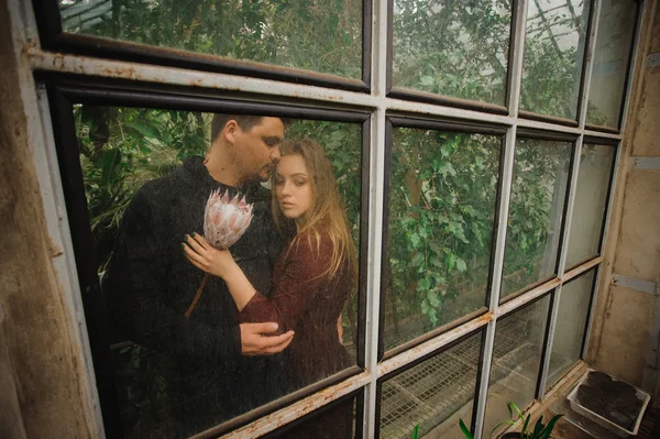 Adorável jovem casal está posando na estufa . — Fotografia de Stock