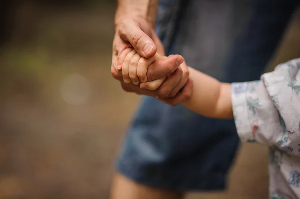 Fathers hand lead his child son in summer forest nature outdoor, — Stock Photo, Image