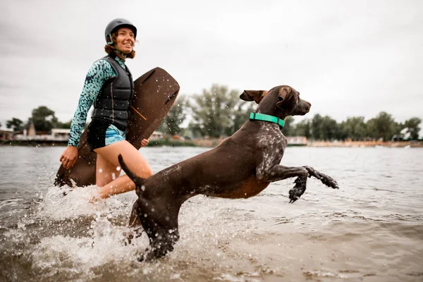 犬はヘルメットをかぶって水の上を走り近くの水着姿で歩き — ストック写真