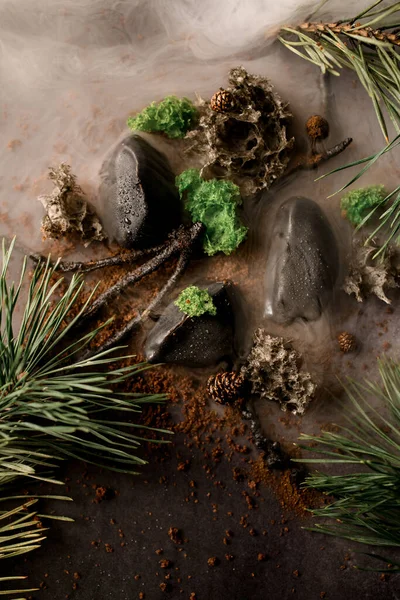 Top view of molecular cuisine dish decorated with sticks and pine branches in white fog.