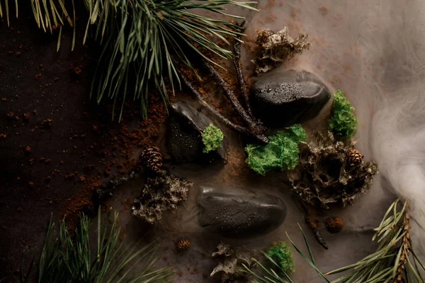Vue de dessus de plat de cuisine moléculaire incroyable décoré avec des branches de pin dans le brouillard. — Photo