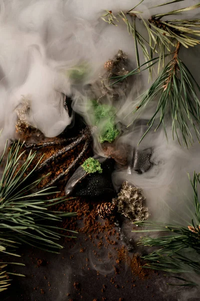 鬱蒼とした霧の中で松の枝や木の棒やコーンや石の美しい景色 — ストック写真