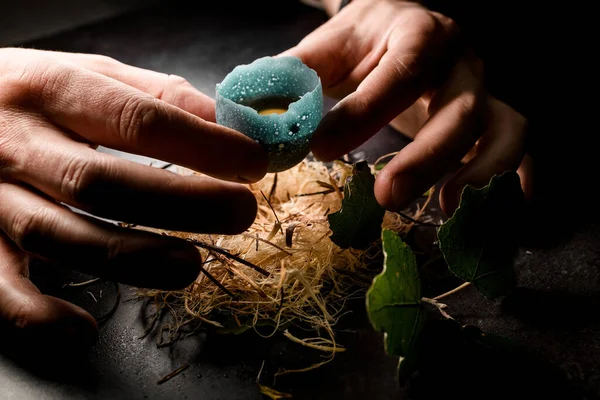 卵を持った男性の手を見て木の繊維の巣に入れ. — ストック写真
