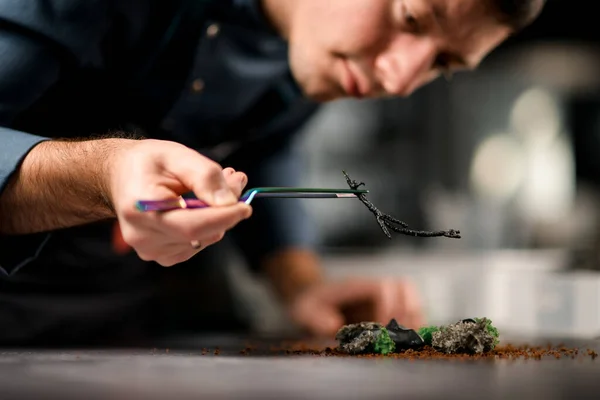 View of an incredible dish that male chef decorates with twig — Stock Photo, Image