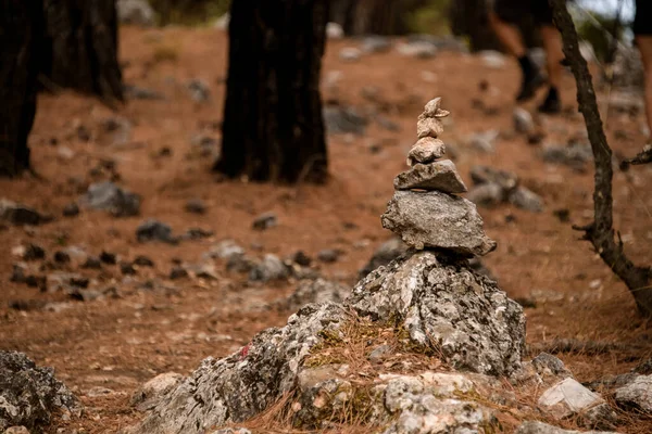 Vista de perto no cairn marcando trilha de caminhadas na clareira na floresta de pinheiros — Fotografia de Stock