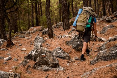 Lycian 'ın yanından geçen turistin dikiz aynasından bakıyorlar.