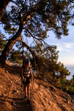 Sırt çantası ve yürüyüş sopalarıyla yürüyen genç bir kadın.