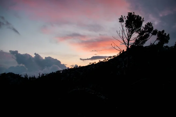 Bela vista no céu ao nascer do sol. Silhuetas escuras de abetos e montanhas — Fotografia de Stock