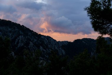 Güzel doğal manzara kozalaklı ağaçlar, dağlar ve güzel bulutlu gökyüzü..