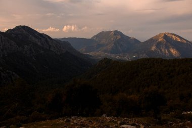 Arka planda ağaçlarla ve sisli dağlarla yeşil vadinin muhteşem sabah manzarası.