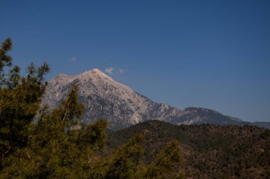 Yeşil ağaçları ve açık mavi gökyüzü olan harika bir dağ manzarası..