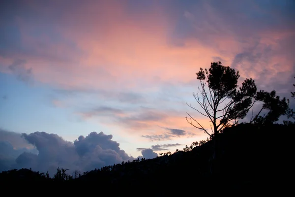 Vista colorida do céu ao nascer do sol. Silhuetas escuras de abetos e montanhas — Fotografia de Stock