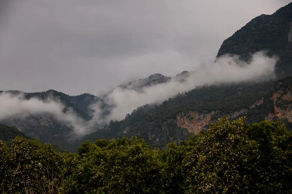 Högt bergslandskap på morgonen med vit tjock dimma och moln. — Stockfoto