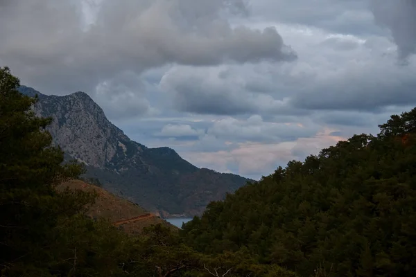 Bela paisagem montanhosa com vale verde de árvores coníferas perenes e céu nublado. — Fotografia de Stock