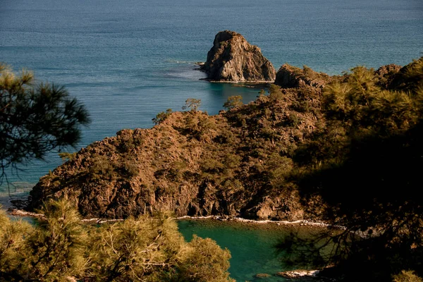 Bella vista di conifere sempreverdi che crescono sulla scogliera vicino al Mar Mediterraneo — Foto Stock