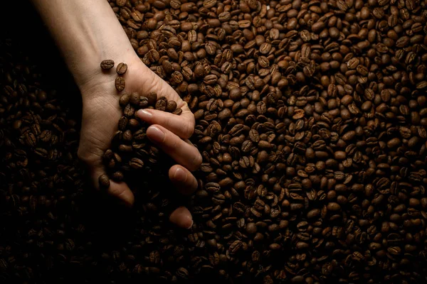 Vista de mão segurando grãos de café torrados no fundo de outros grãos de café. — Fotografia de Stock