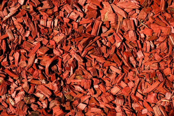 Płynny wzór jasny czerwony drewno wióry tło. — Zdjęcie stockowe