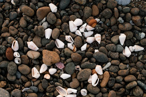 Fragmento de playa con muchas piedras. Fondo con patrón y textura de guijarros — Foto de Stock