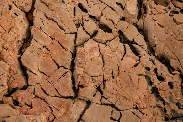 Närbild ovanifrån av sten kustlinje yta med sprickor och erosion texturer — Stockfoto