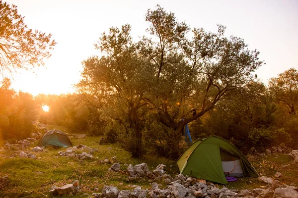Carpas turísticas en el camping al amanecer. El concepto de vida de camping. — Foto de Stock