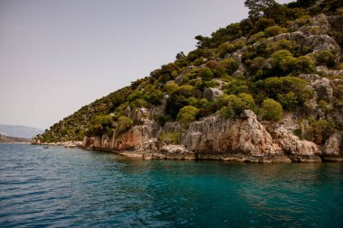 Sudan orman tepesine batık şehrin kalıntılarıyla birlikte manzara