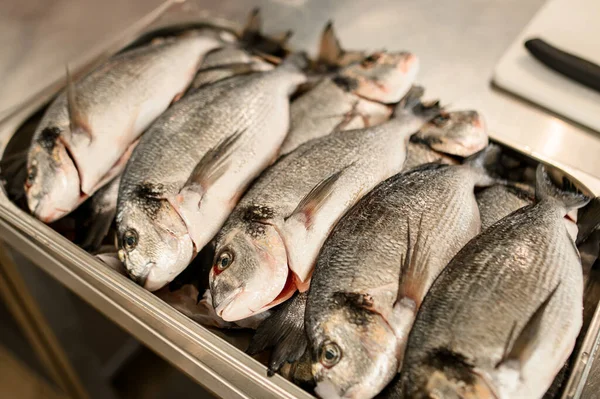 Close-up de vários peixes deitados em uma fileira em uma bandeja de metal — Fotografia de Stock