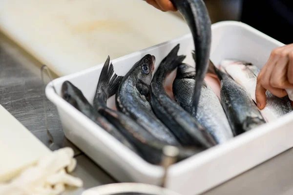 Close-up van verschillende vissen op een rij in een witte doos — Stockfoto