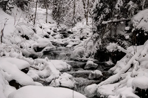 Magnifique vue d'hiver sur cascade enneigée. — Photo