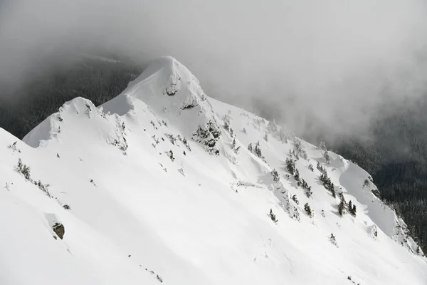 Dağlarda bembeyaz kar manzarası harika. Doğanın güzelliği. — Stok fotoğraf
