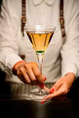 Bir kadının ellerinde alkollü içki olan şeffaf cam..