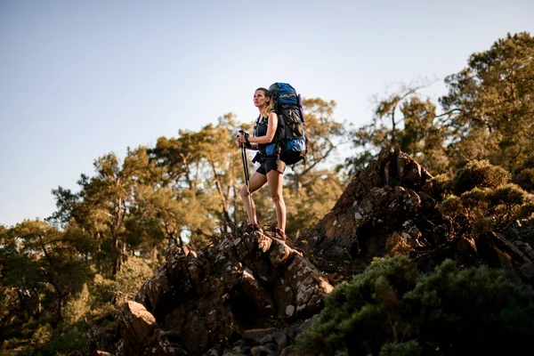 Frau mit Rucksack steht auf einem großen Stein vor dem Hintergrund von Bäumen und blauem Himmel — Stockfoto