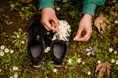 Spor ayakkabıların ve kadın ellerinin üst görüntüsü üzerine papatya çiçekleri serer.