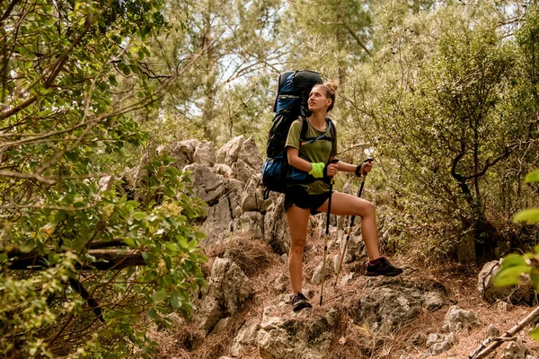 Femme avec équipement de randonnée se tient sur la pierre dans la forêt et regarde sur le côté — Photo