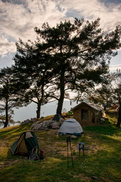 Krásný výhled na tábor s turistickými stany v blízkosti borovic — Stock fotografie