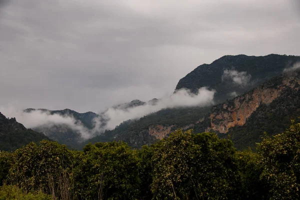 Underbar utsikt över gröna träd, bergskedjor och morgonhimmel med moln — Stockfoto