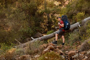 Sırt çantalı bir yürüyüşçü, Lycian Yolu 'nda devrilmiş ağacın yanında duruyor.