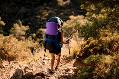 İri sırt çantalı, patika boyunca yürüyen kadın yürüyüşçünün dikiz görüntüsü