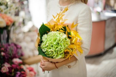 Güzel bir ortanca buketi ve sarı dallar kadının ellerinde.