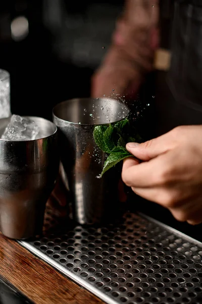 Männerhand hält nassgrüne frische Minzblätter an der Theke — Stockfoto