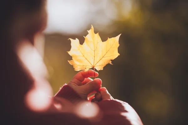 Kind houden oranje bladeren in de herfst — Stockfoto