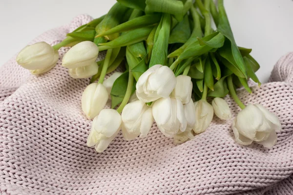 Bílé tulipány kytice na pletené textury pozadí — Stock fotografie