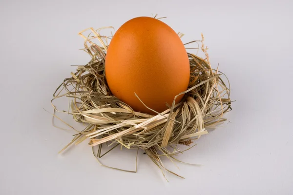 Orange grön påsk ägg i boet isolerad på vit — Stockfoto